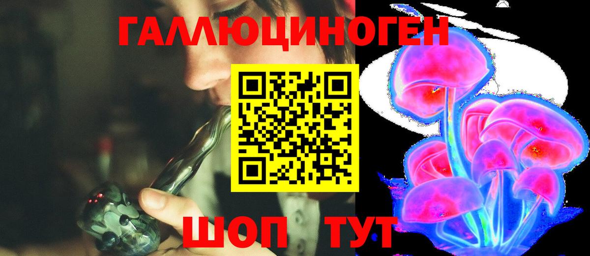 Галлюциногенные грибы мицелий  Вход с VPN  Кизляр 